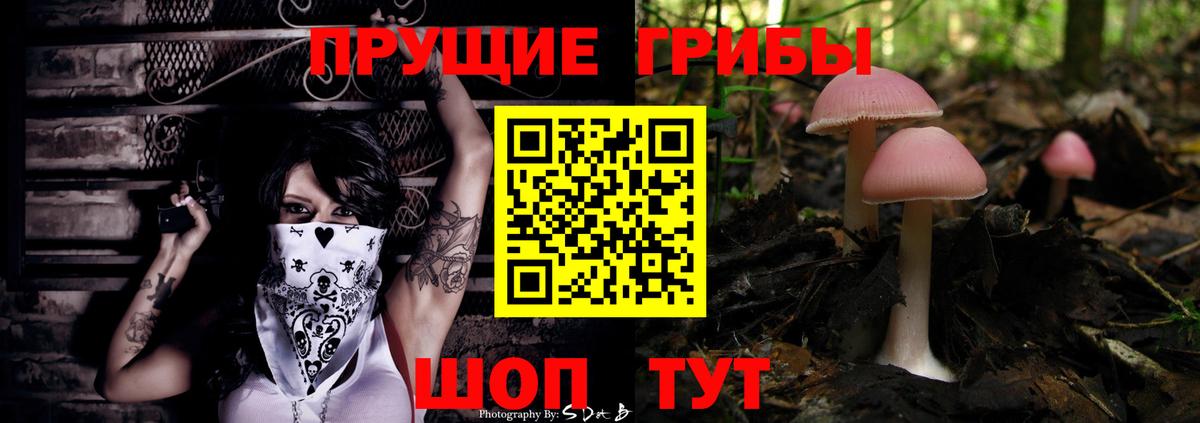 Карталы  Псилоцибиновые грибы мухоморы  Вход с VPN 